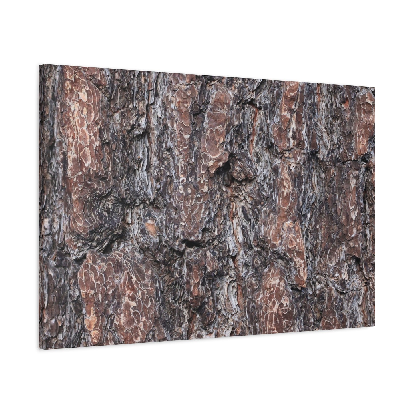 Textured Whispers of an Ancient Tree - Unique Frameless Canvas Wall Art