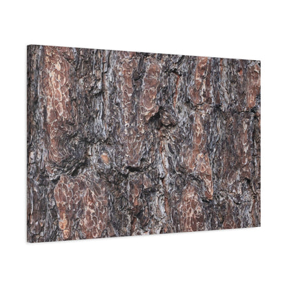 Textured Whispers of an Ancient Tree - Unique Frameless Canvas Wall Art