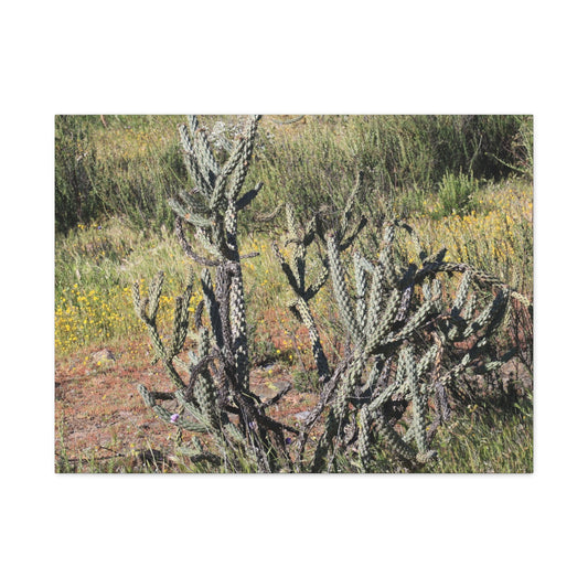 Desert Bloom in Shadow - Unique Frameless Canvas Wall Art - Art By Earth
