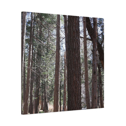 Vertical Sentinels - Unique Frameless Canvas Wall Art - Art By Earth