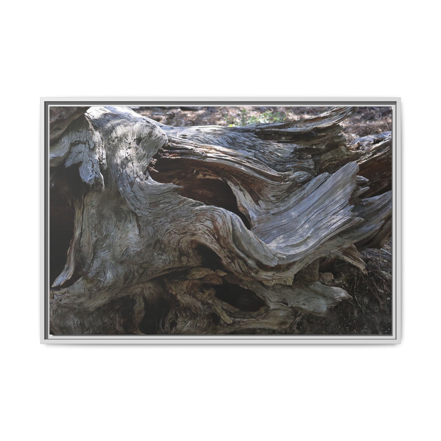 Twisted Memories - Unique Stretched Canvas Wall Art - Art By Earth