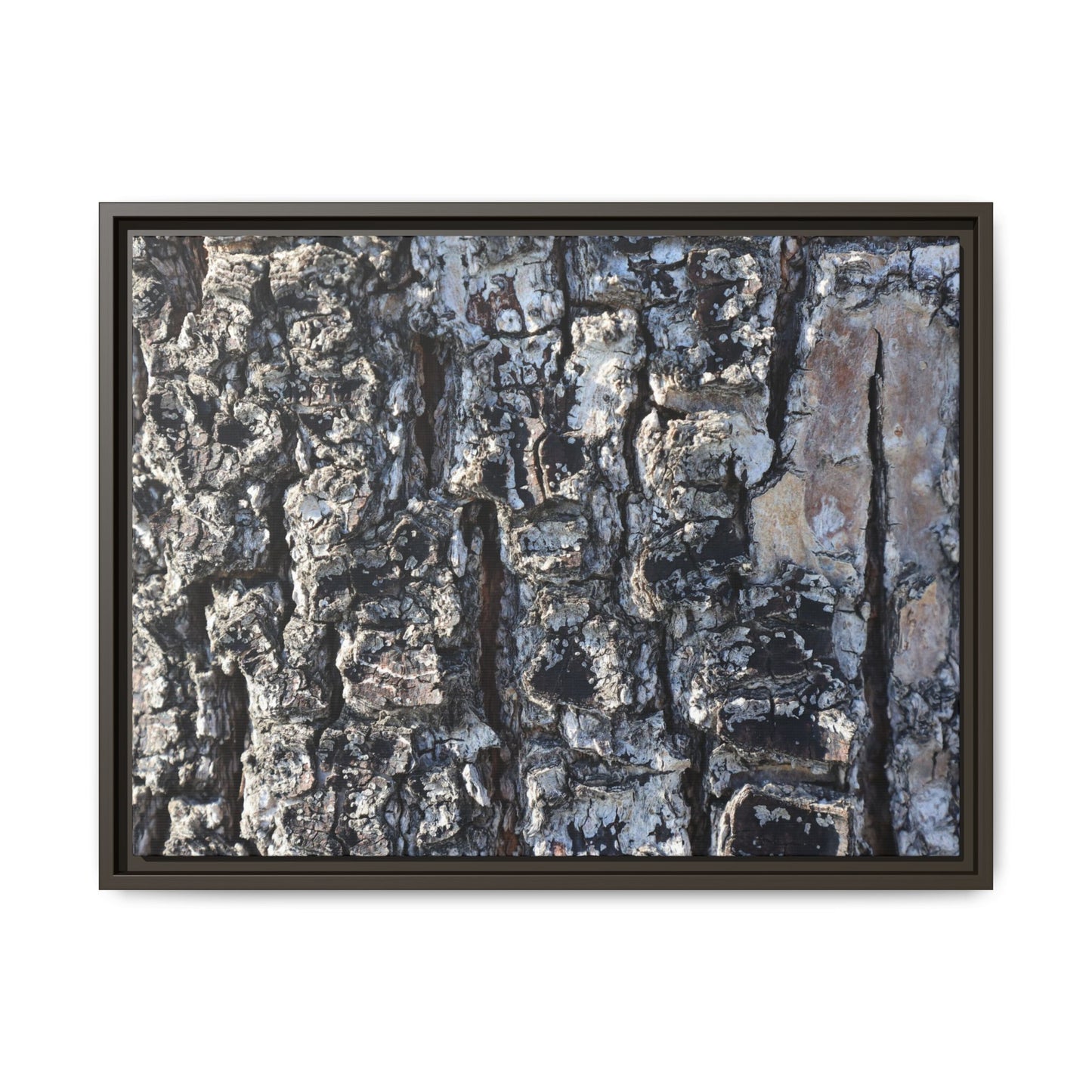 The Bark Chronicles - Unique Stretched Canvas Wall Art - Art By Earth