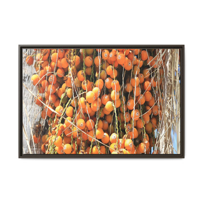 Clusters of Sunlight - Unique Canvas Wall Art - Art By Earth