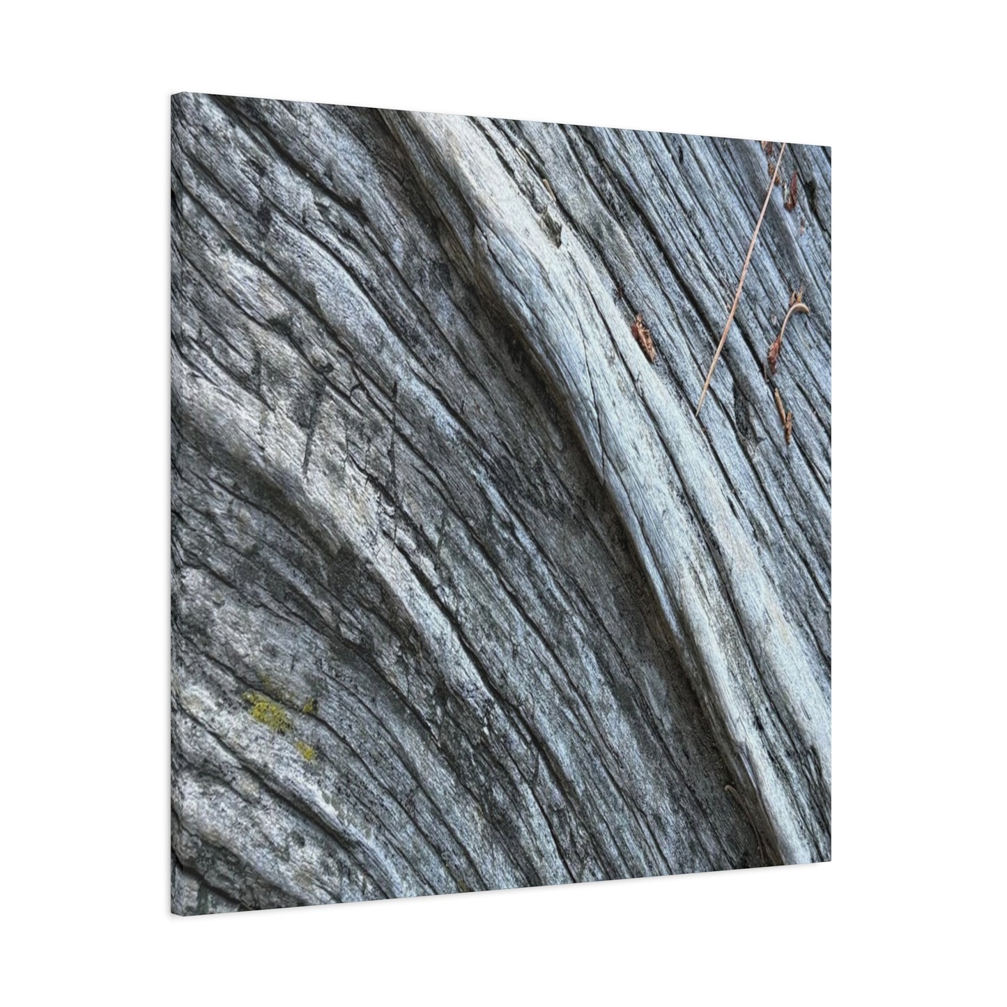 Aged Surface - Unique Frameless Canvas Wall Art - Art By Earth
