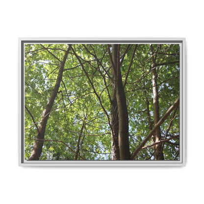Forest Branches - Unique Stretched Canvas Wall Art