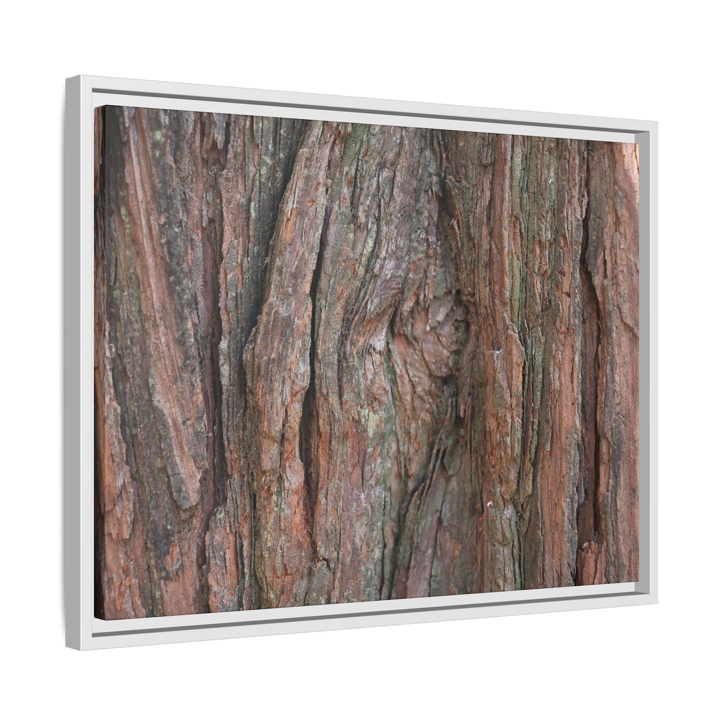 Rugged Textures - Unique Stretched Canvas Wall Art - Art By Earth