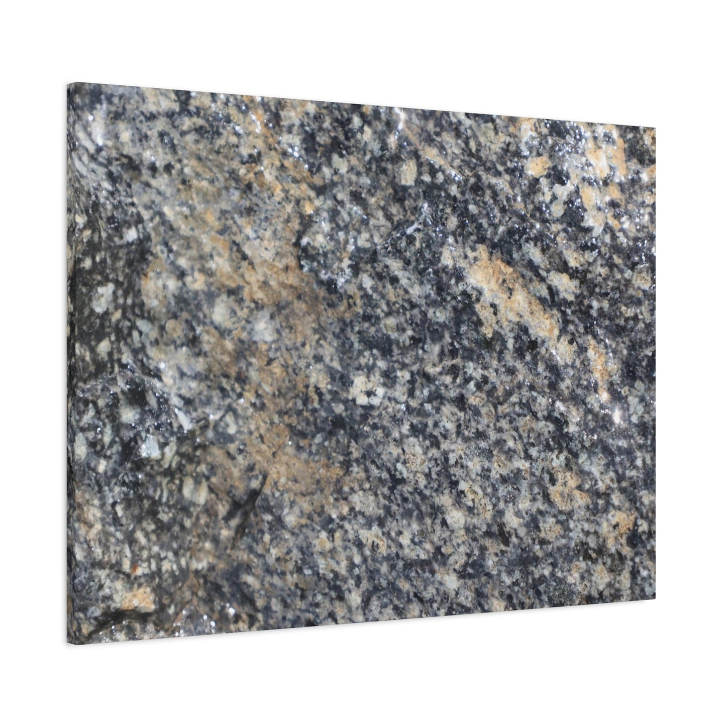 Metamorphic Memory - Unique Frameless Canvas Wall Art - Art By Earth