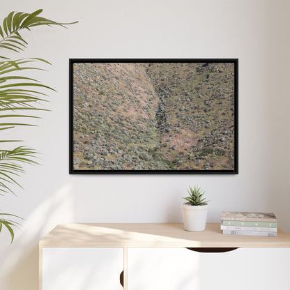 Mountain Slope with Desert Vegetation - Unique Stretched Canvas Wall Art - Art By Earth