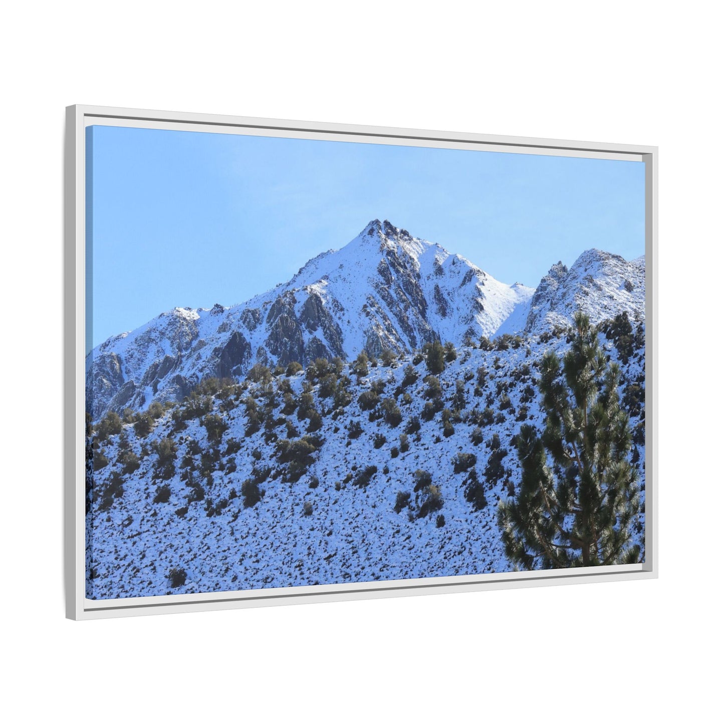 Snow's Embrace - Unique Stretched Canvas Wall Art
