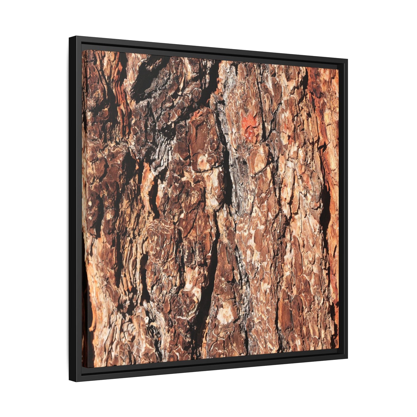 Nature's Rugged Canvas - Unique Stretched Canvas Wall Art