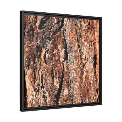 Nature's Rugged Canvas - Unique Stretched Canvas Wall Art