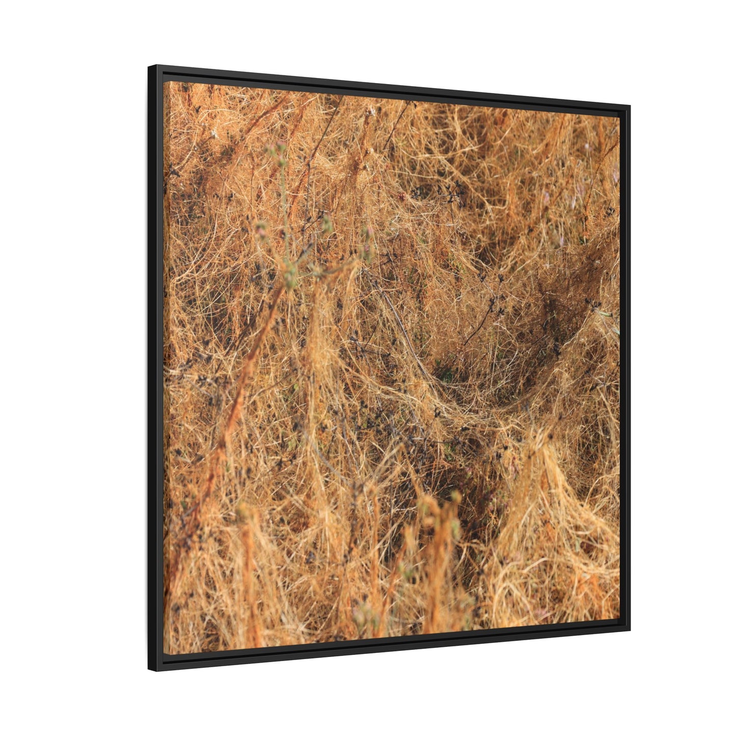 Dried Vegetation Study - Unique Stretched Canvas Wall Art - Art By Earth