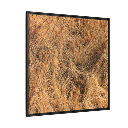 Dried Vegetation Study - Unique Stretched Canvas Wall Art - Art By Earth