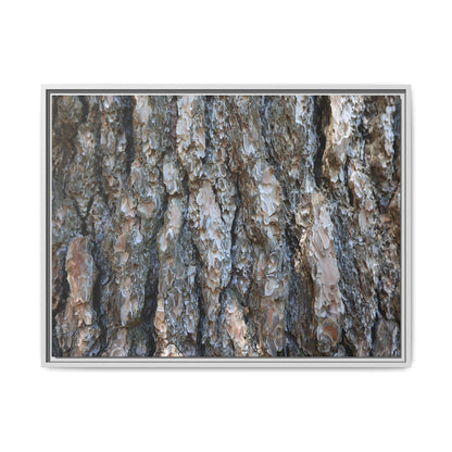 Bark Whispers - Unique Stretched Canvas Wall Art - Art By Earth