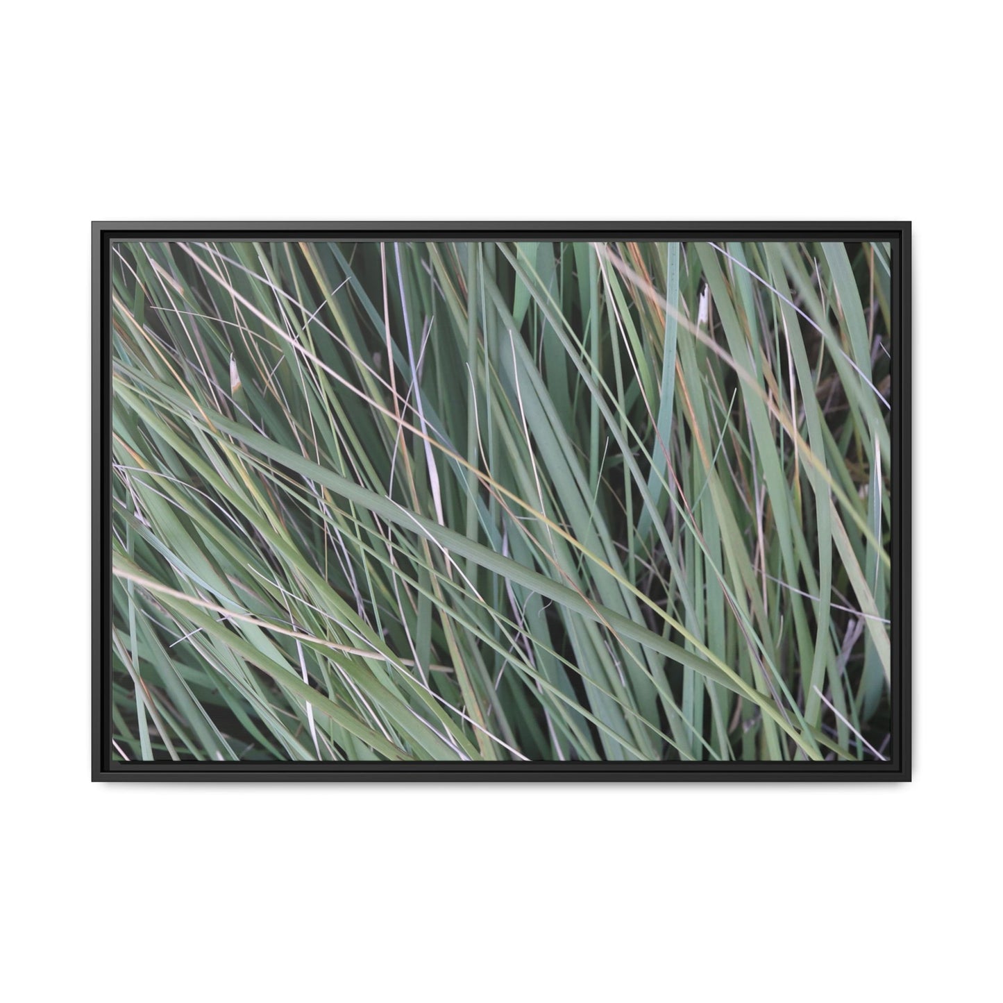Grassland Symphony - Unique Stretched Canvas Wall Art - Art By Earth