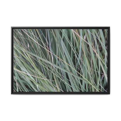 Grassland Symphony - Unique Stretched Canvas Wall Art - Art By Earth