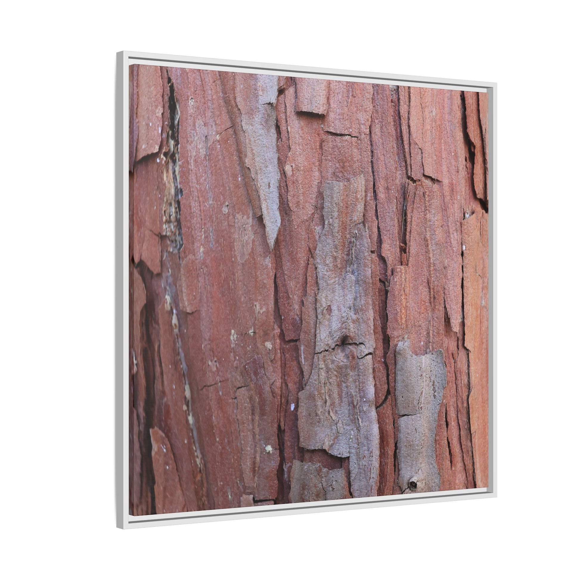 Peeling Bark - Unique Stretched Canvas Wall Art - Art By Earth
