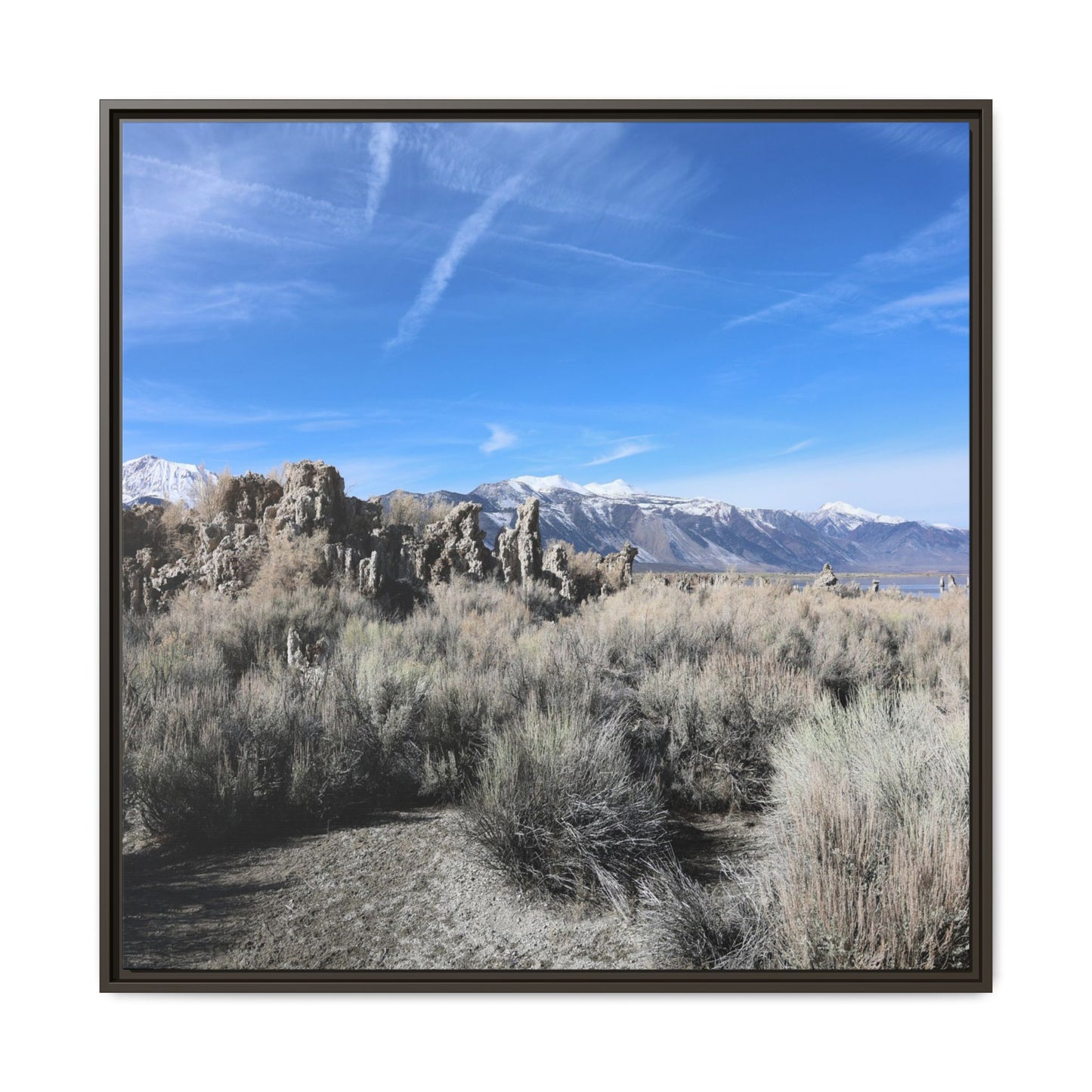 Whispers of the Sagebrush Steppe - Unique Stretched Canvas Wall Art