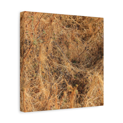 Dried Grasses - Unique Frameless Canvas Wall Art - Art By Earth