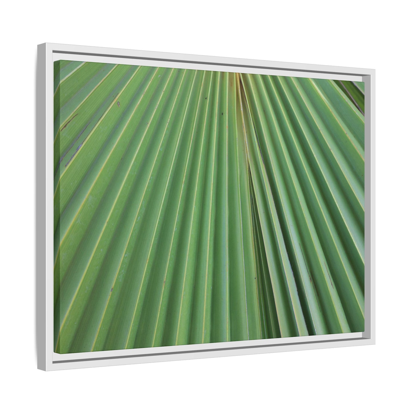 Verdant Veins - Unique Stretched Canvas Wall Art - Art By Earth