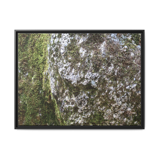 Lichen Landscape - Unique Stretched Canvas Wall Art - Art By Earth