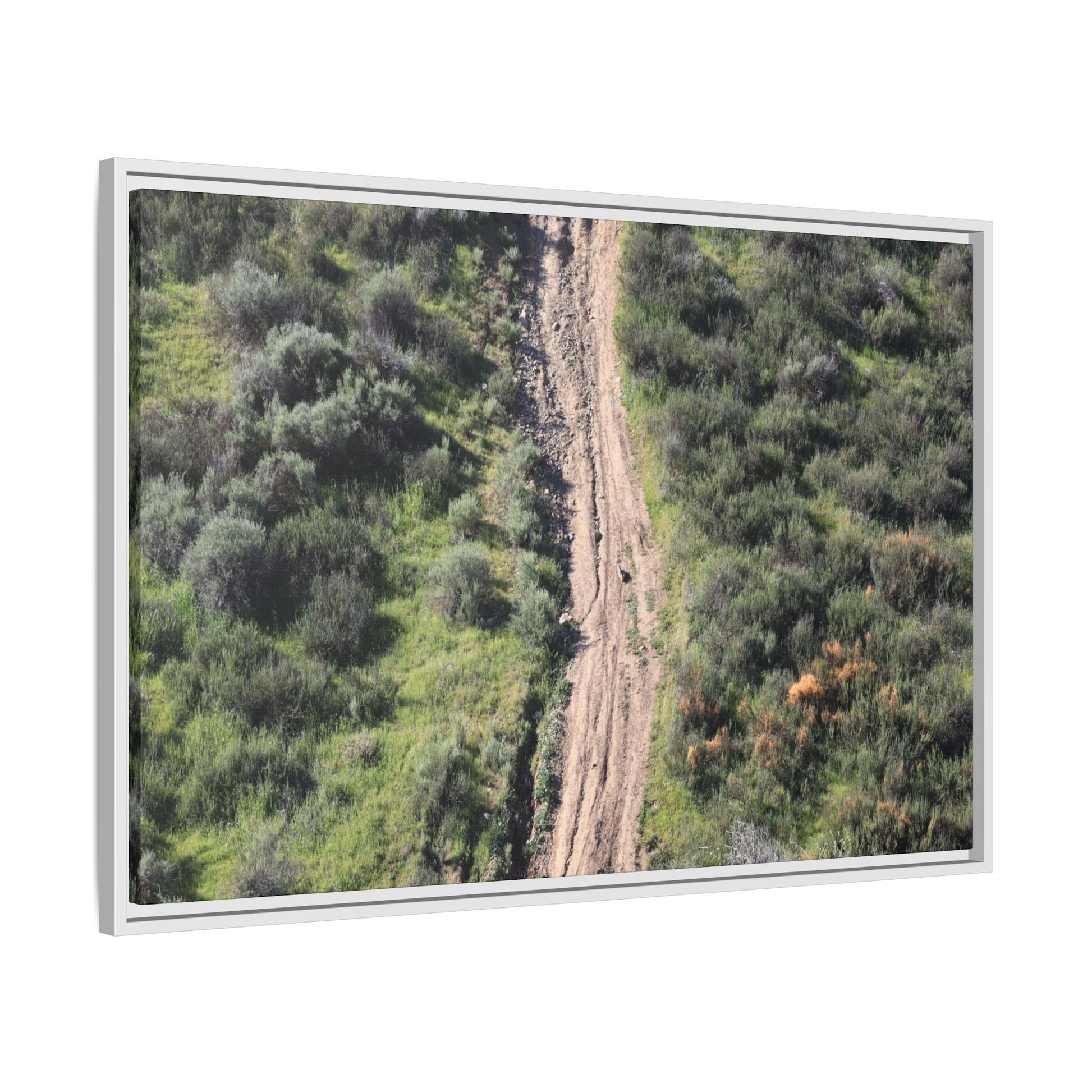 Desert Path Through Sage - Unique Stretched Canvas Wall Art - Art By Earth