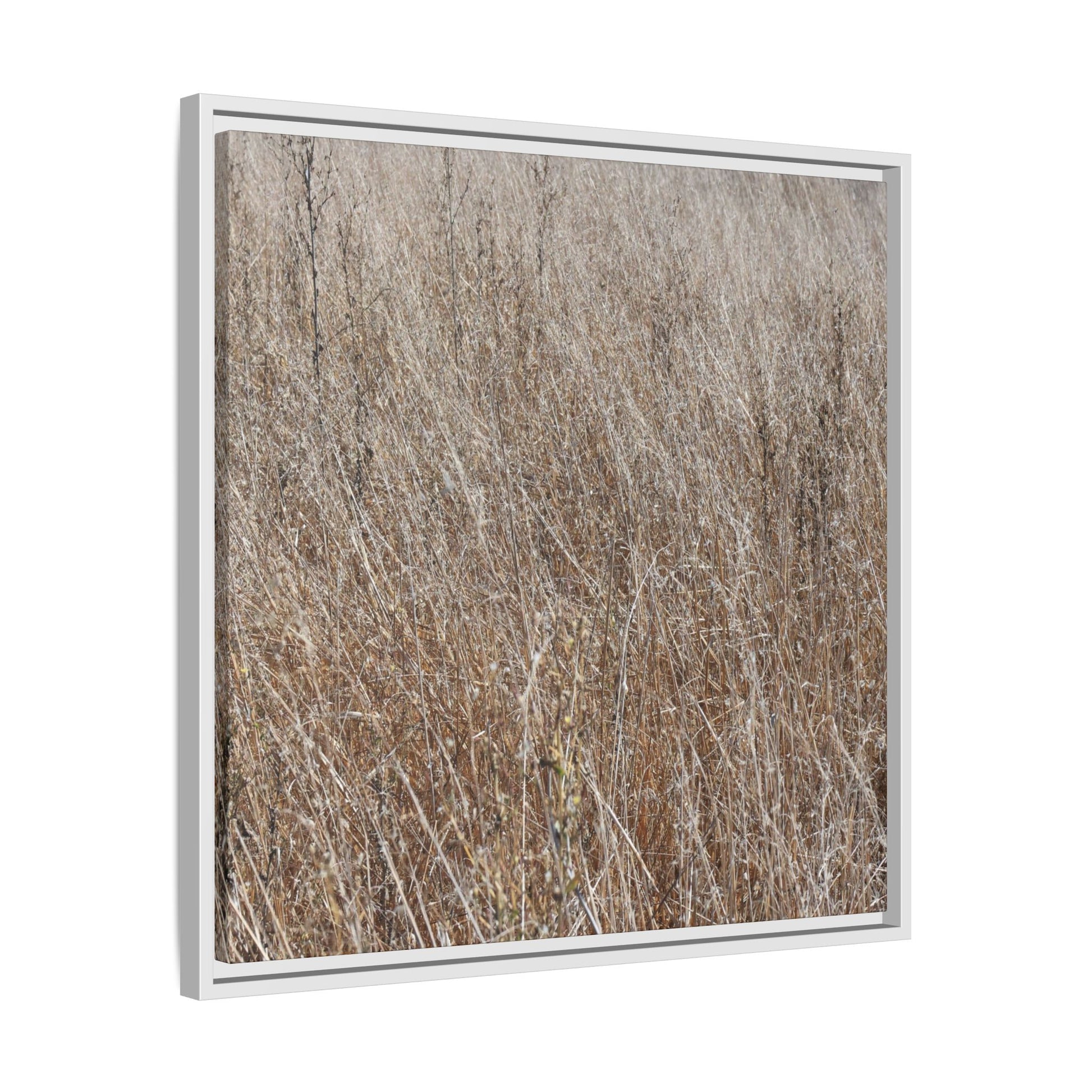 Whispers of Autumn - Unique Stretched Canvas Wall Art - Art By Earth