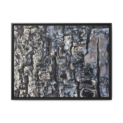 The Bark Chronicles - Unique Stretched Canvas Wall Art - Art By Earth