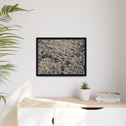 Arid Terrain Study - Unique Stretched Canvas Wall Art - Art By Earth