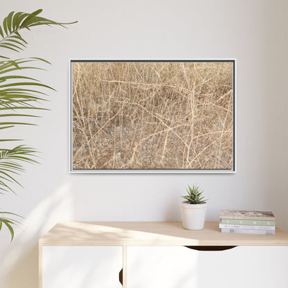 Golden Stalks - Unique Stretched Canvas Wall Art - Art By Earth