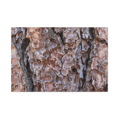 Rough Canvas - Unique Frameless Canvas Wall Art - Art By Earth