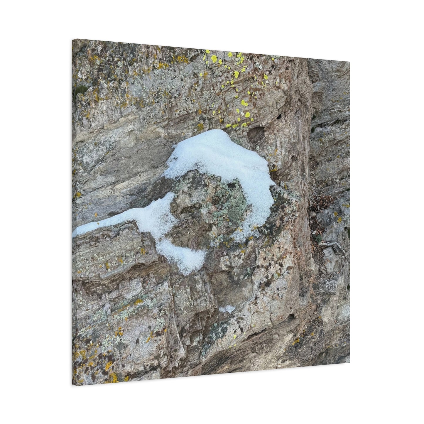 Snow on Stone - Unique Frameless Canvas Wall Art