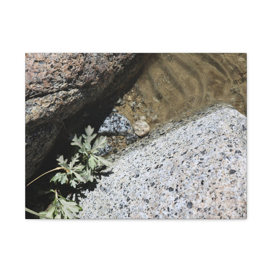 Between Stone and Sand - Unique Frameless Canvas Wall Art - Art By Earth