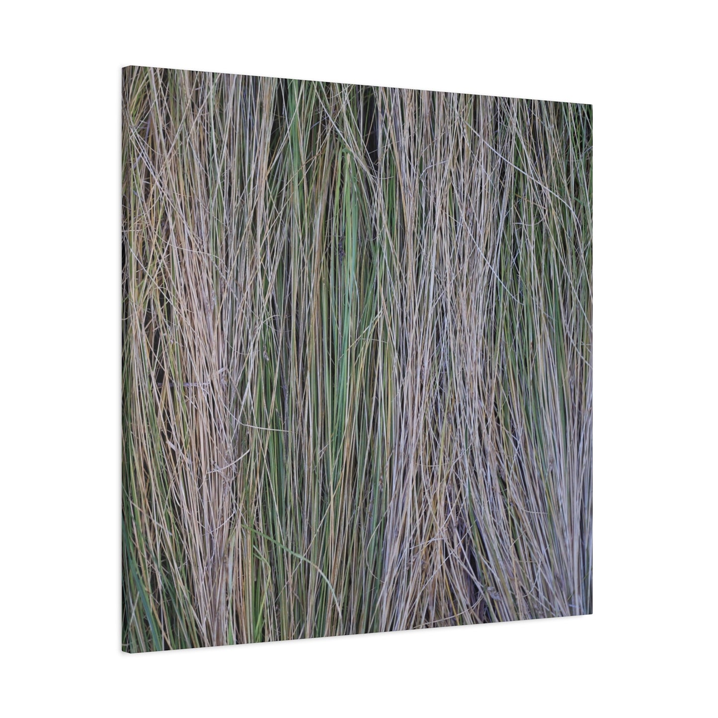 Whispers of Grass - Unique Frameless Canvas Wall Art - Art By Earth