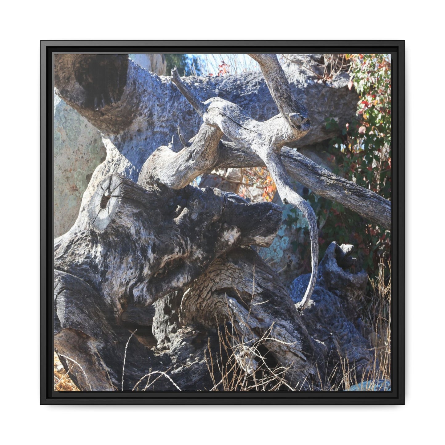 Resilient Roots - Unique Stretched Canvas Wall Art - Art By Earth