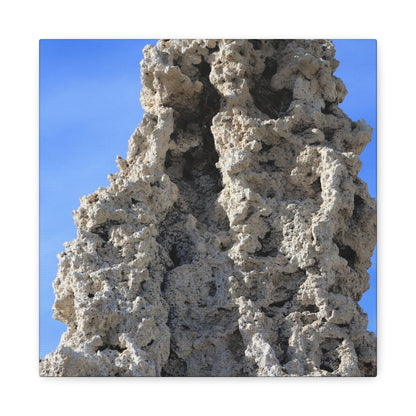 Calcified Whispers - Unique Frameless Canvas Wall Art