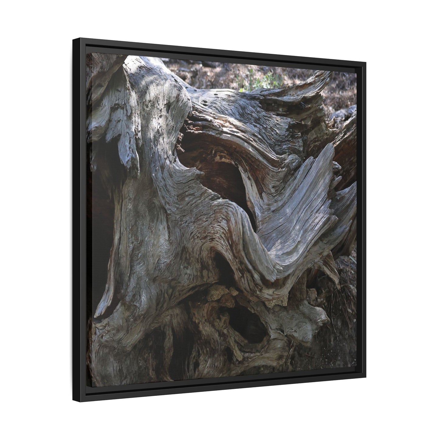 Twisted Memories - Unique Stretched Canvas Wall Art - Art By Earth