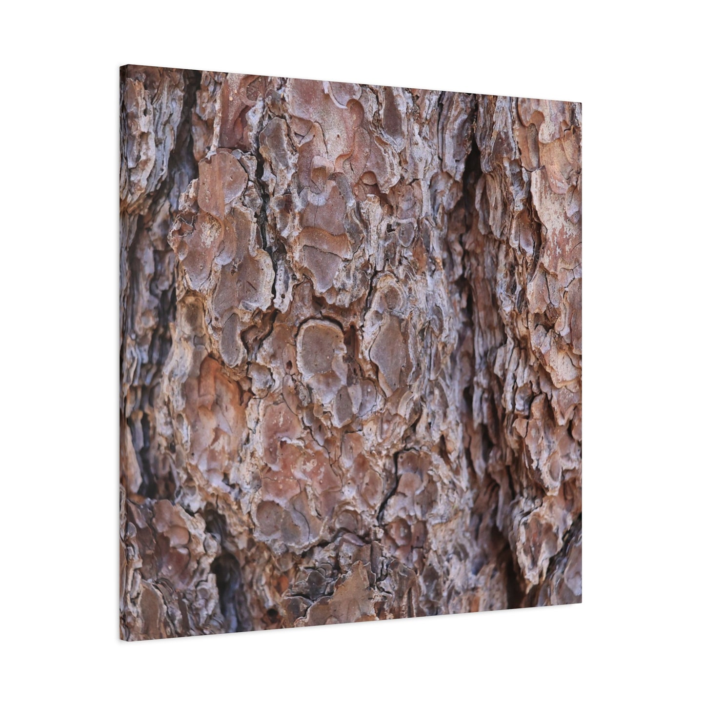 Rugged Bark Landscape - Unique Frameless Canvas Wall Art - Art By Earth