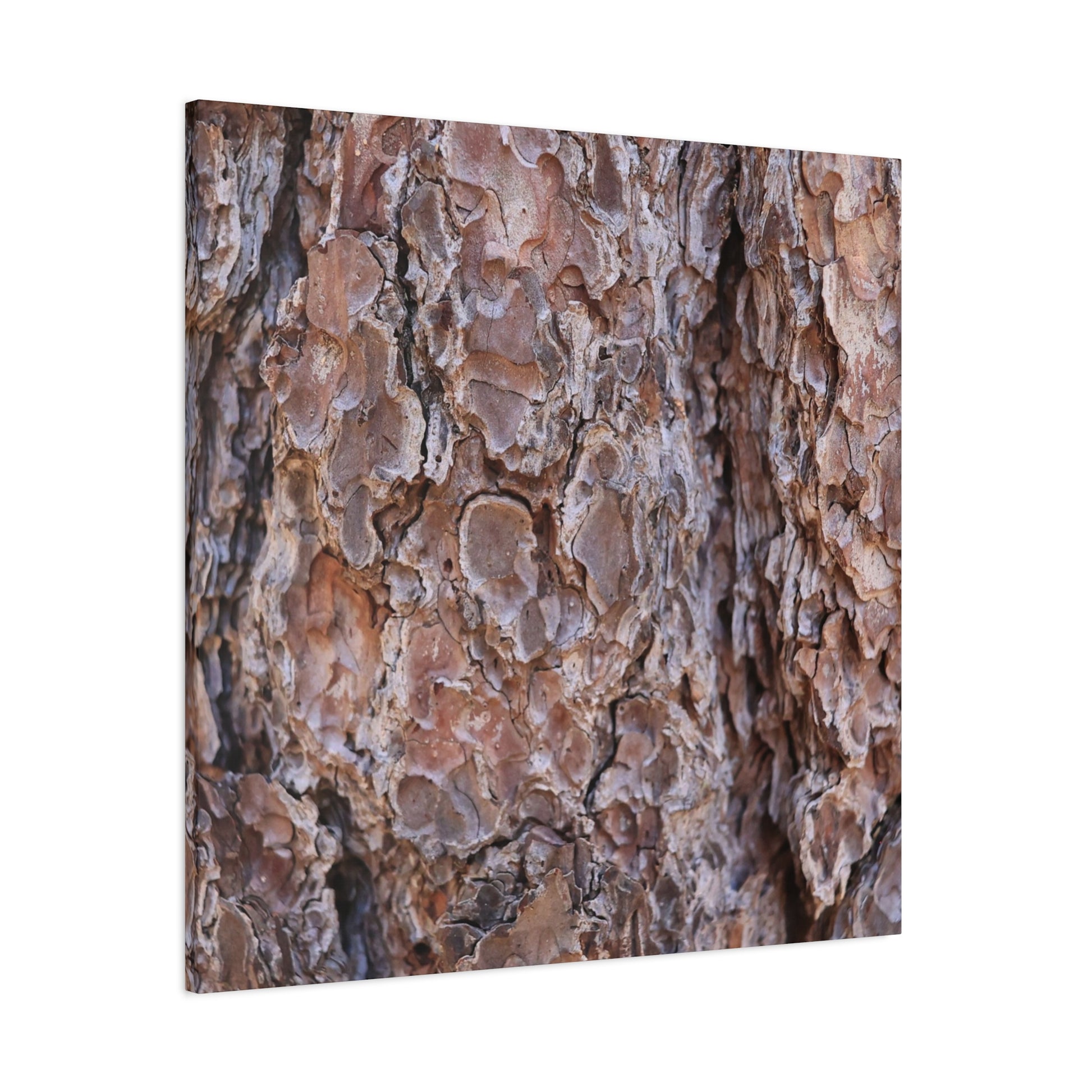Rugged Bark Landscape - Unique Frameless Canvas Wall Art - Art By Earth