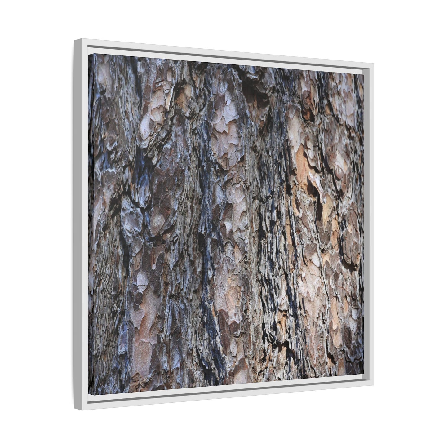 Weathered Patterns - Unique Stretched Canvas Wall Art - Art By Earth