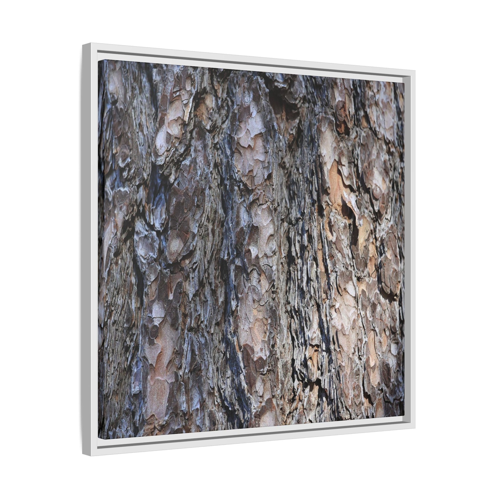 Weathered Patterns - Unique Stretched Canvas Wall Art - Art By Earth