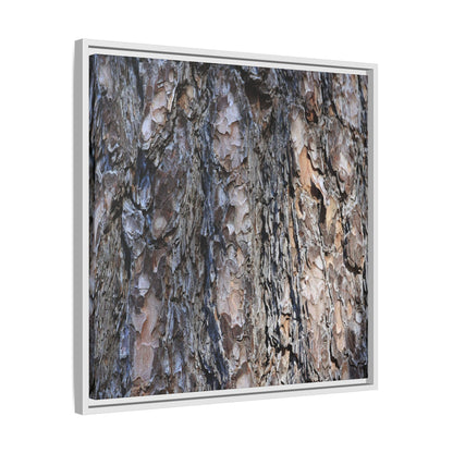 Weathered Patterns - Unique Stretched Canvas Wall Art - Art By Earth