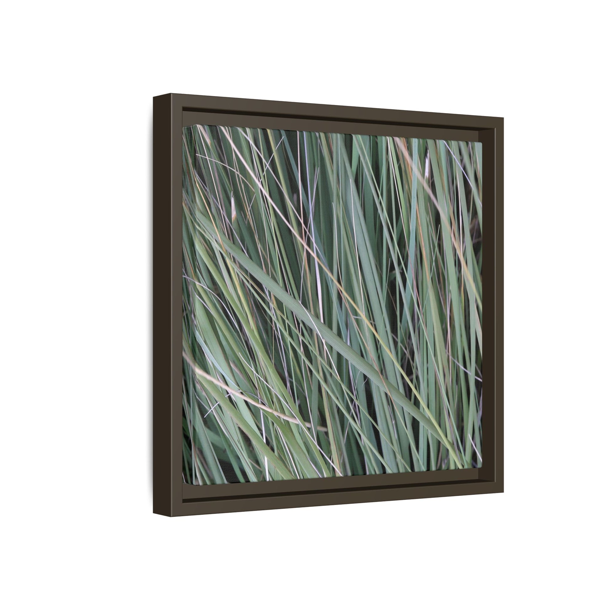 Grassland Symphony - Unique Stretched Canvas Wall Art - Art By Earth