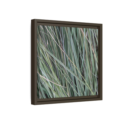 Grassland Symphony - Unique Stretched Canvas Wall Art - Art By Earth