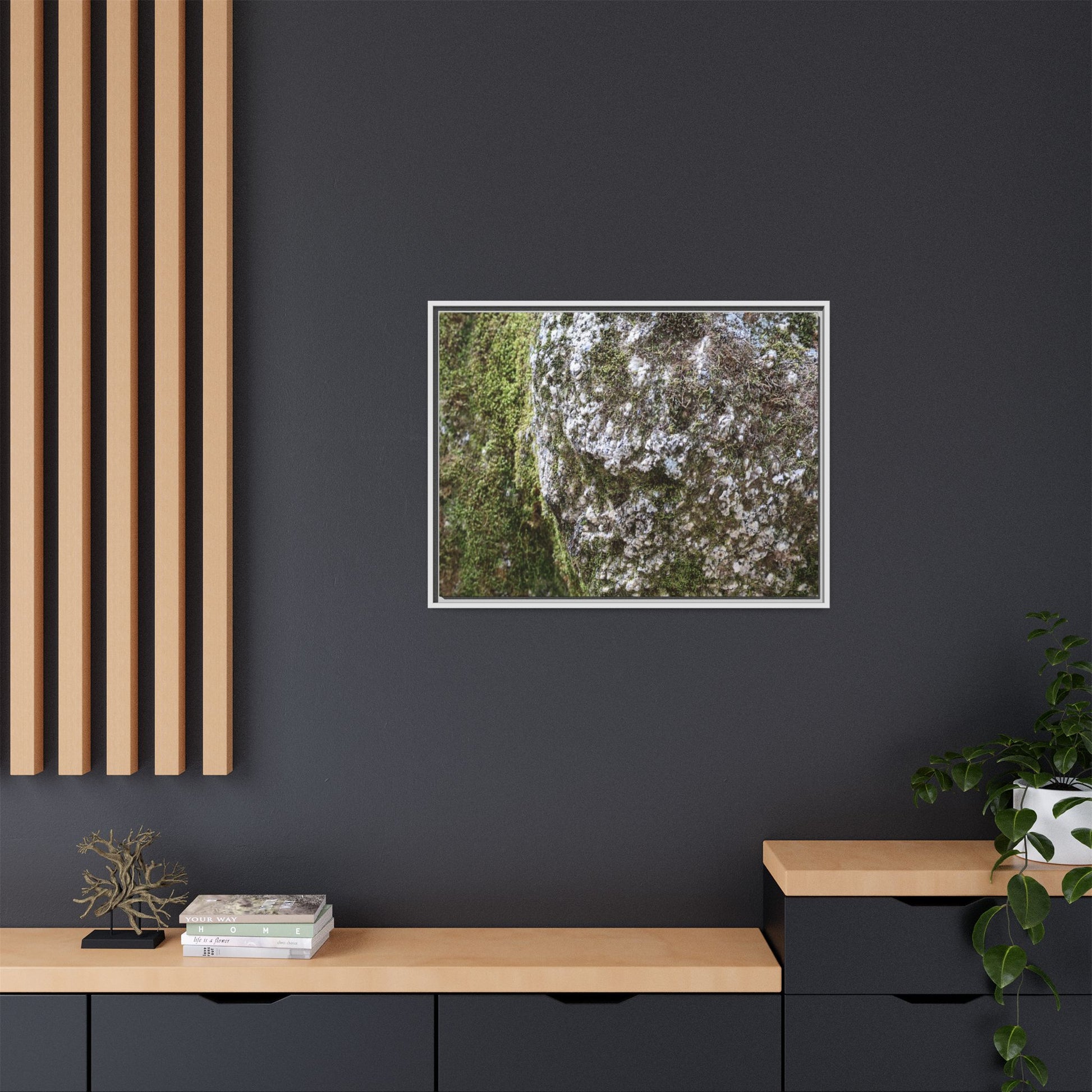 Lichen Landscape - Unique Stretched Canvas Wall Art - Art By Earth