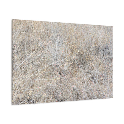 Tangled Whispers of Autumn's Fading Breath - Unique Frameless Canvas Wall Art - Art By Earth
