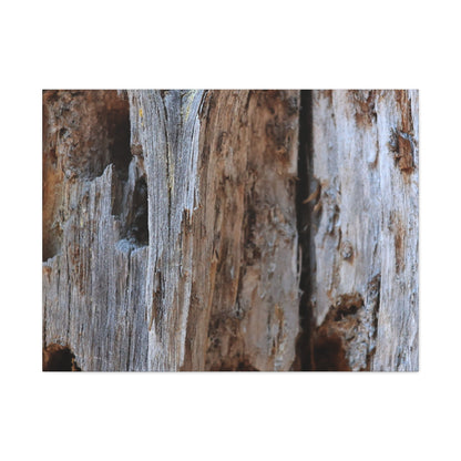 Timber Tapestry - Unique Frameless Canvas Wall Art - Art By Earth