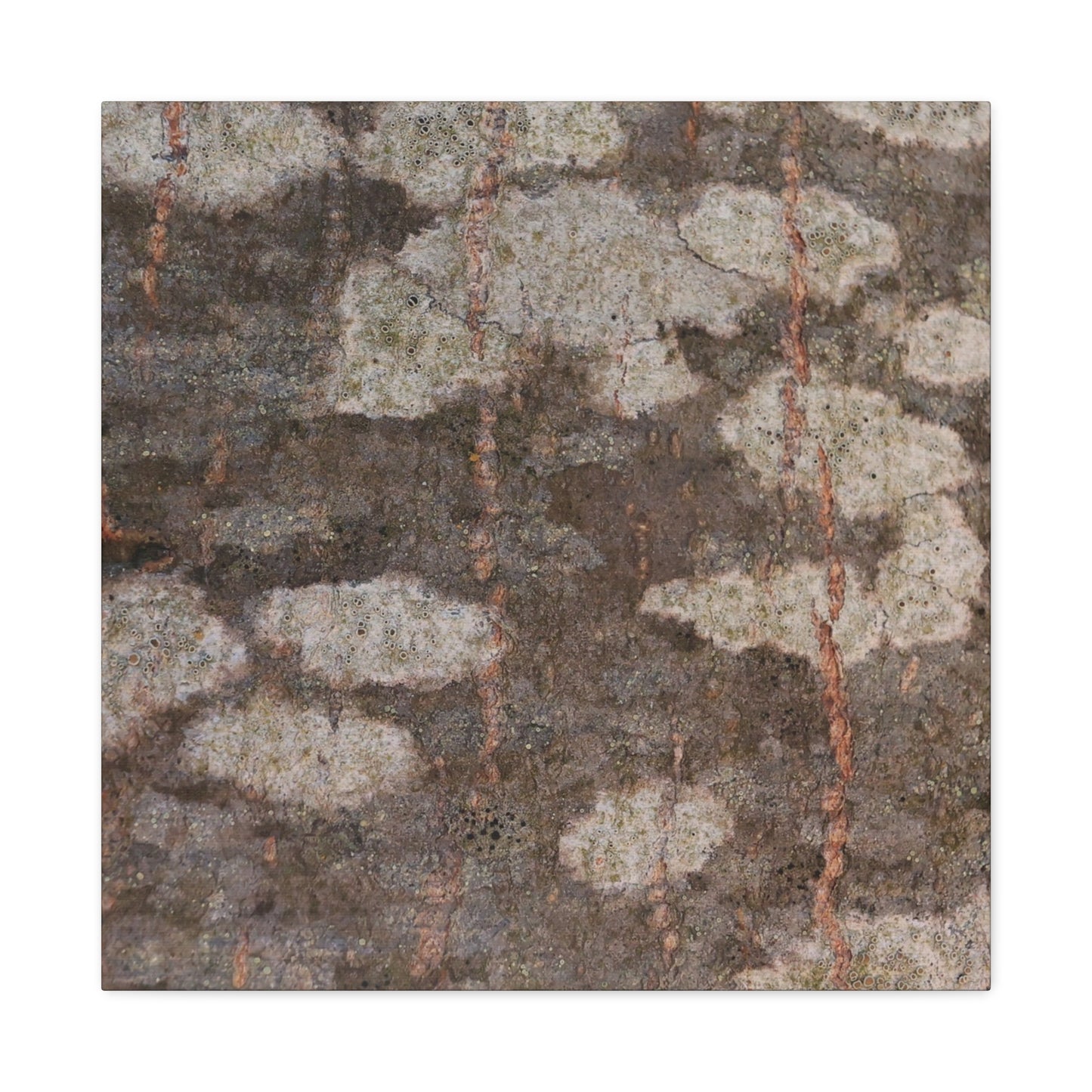 Earthen Memoir - Unique Frameless Canvas Wall Art - Art By Earth