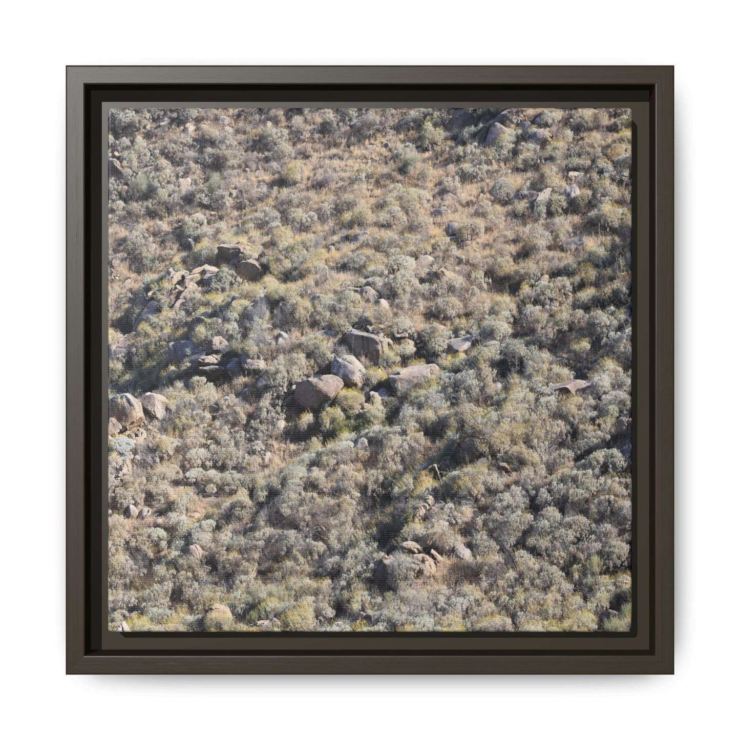 Arid Terrain Study - Unique Stretched Canvas Wall Art - Art By Earth