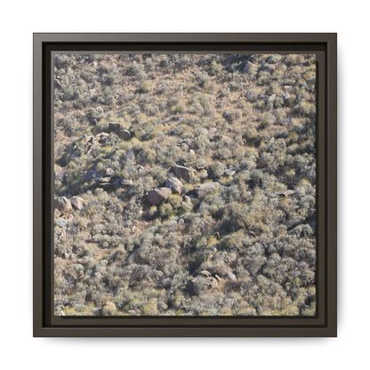 Arid Terrain Study - Unique Stretched Canvas Wall Art - Art By Earth